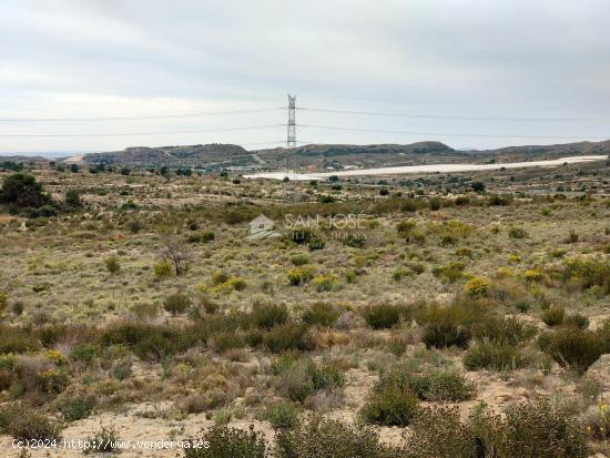 SE VENDE TERRENO RUSTICO EN MONFORTE DEL CID - ALICANTE