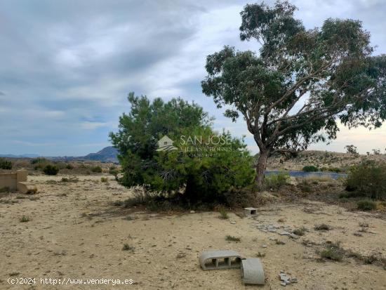 SE VENDE TERRENO RUSTICO EN MONFORTE DEL CID - ALICANTE