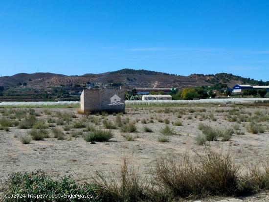 SE VENDE PARCELA RUSTICA EN ASPE ZONA HUERTA MAYOR - ALICANTE