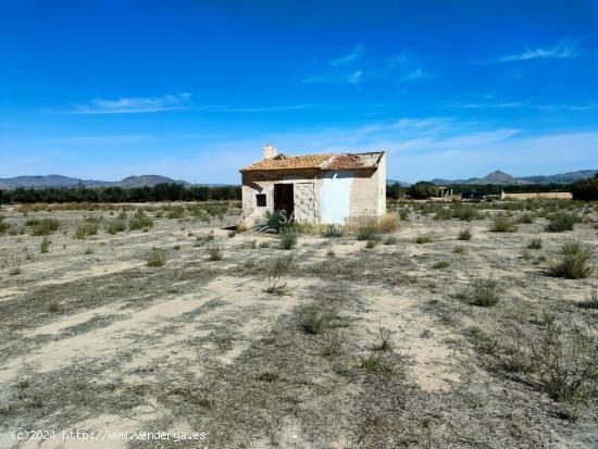 SE VENDE PARCELA RUSTICA EN ASPE ZONA HUERTA MAYOR - ALICANTE