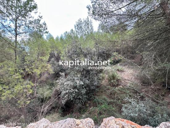 Parcela a la venta en Alfafara - ALICANTE