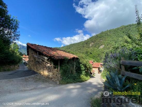 CASA EN CAMALEÑO PARA REFORMAR - CANTABRIA