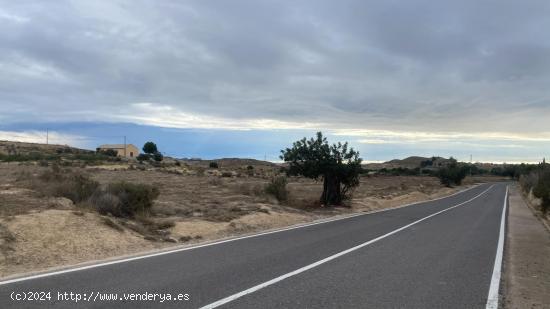 Parcela Ubicada en mutxamiel - ALICANTE