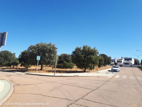 Urbis te ofrece parcelas en venta en Urbanización Santa Bárbara, Carrascal de Barregas - SALAMANCA