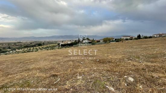 VENTA DE SOLAR URBANO EN LAS GABIAS (GRANADA) - GRANADA