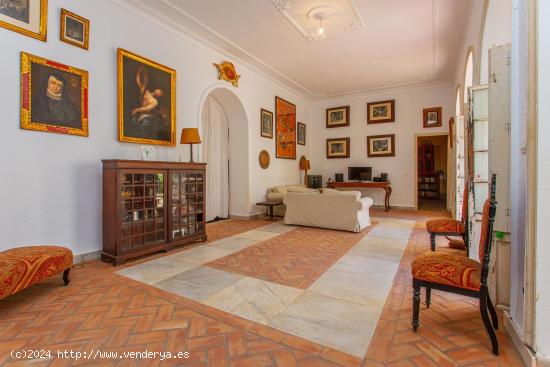  CASA PALACIO EN PLENO DISTRITO CENTRO HISTORICO - CADIZ 