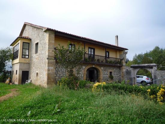 Terreno en el centro de Hozanyo. - CANTABRIA