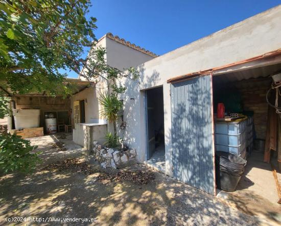 Finca Rústica con caseta de campo y pequeño almacén, a 3,5 km de la playa - TARRAGONA