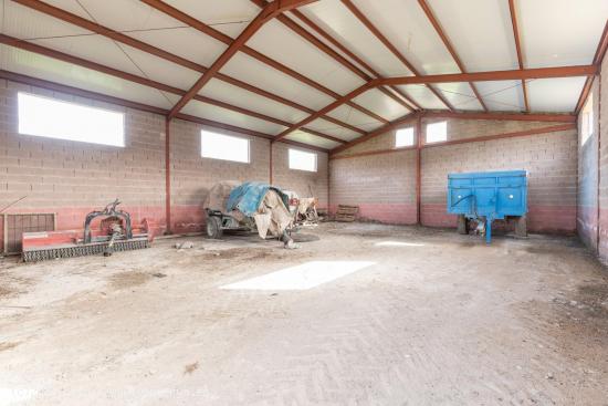 PARCELA DE 2.000 m2 CON NAVE DE 200 m2. - GRANADA