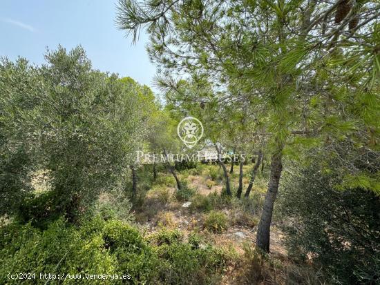 Terreno urbano con vistas en Can Girona - BARCELONA