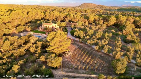  Finca con piscina y casa de invitados con vistas espectaculares - BALEARES 