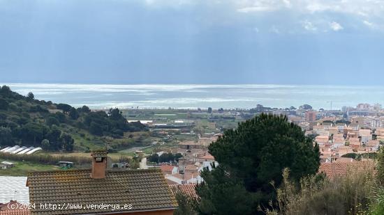 Solar edificable en Pineda de Mar - BARCELONA