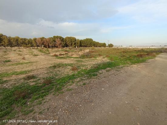  TERRENO RURAL EN LA ERMITA DE EL ESPARRAGAL - MURCIA 