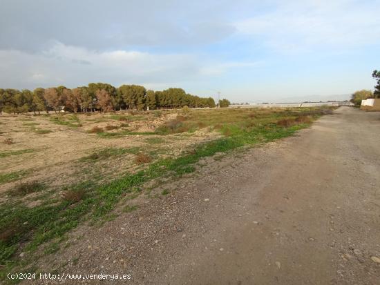 TERRENO RURAL EN LA ERMITA DE EL ESPARRAGAL - MURCIA