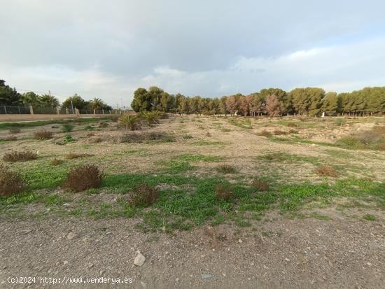 TERRENO RURAL EN LA ERMITA DE EL ESPARRAGAL - MURCIA