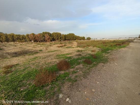 TERRENO RURAL EN LA ERMITA DE EL ESPARRAGAL - MURCIA