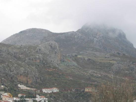  Finca Rústica en venta  - GRANADA 