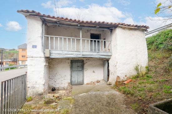 CASA RÚSTICA PARA REFORMAR CON HORREO Y FINCA EN TINEO - ASTURIAS