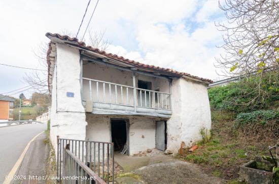 CASA RÚSTICA PARA REFORMAR CON HORREO Y FINCA EN TINEO - ASTURIAS