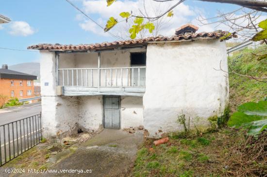 CASA RÚSTICA PARA REFORMAR CON HORREO Y FINCA EN TINEO - ASTURIAS