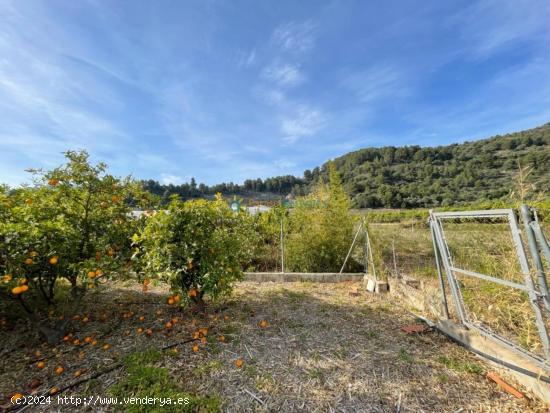  Terreno en venta en L' Alqueria de la Comtessa - VALENCIA 