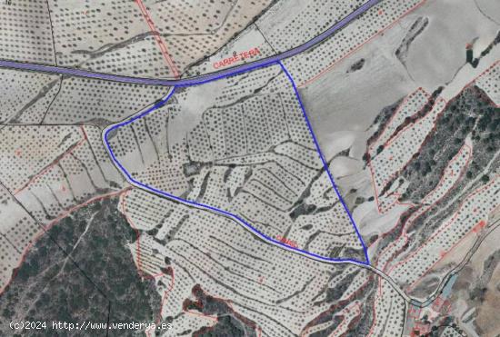 Finca Rustica con Casas y Almendros en Producción - Moratalla - MURCIA