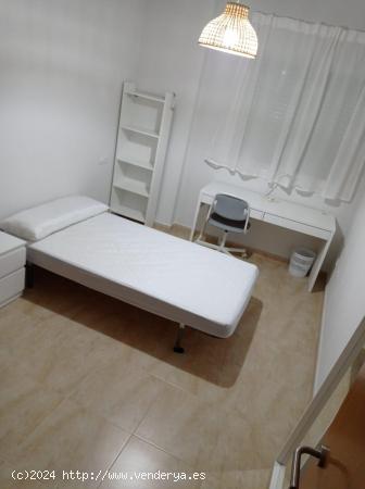 PRECIOSO APARTAMENTO PARA ESTUDIANTES - MURCIA