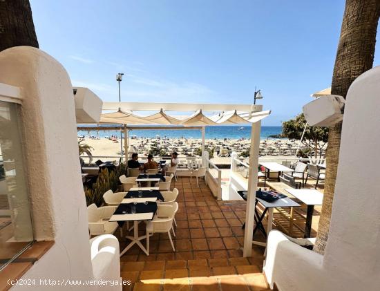 TRASPASO DE RESTAURANTE EN PRIMERA LINEA PLAYA DE LOS CRISTIANOS - SANTA CRUZ DE TENERIFE