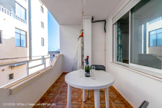  APARTAMENTO EN LA MATA DE 3 DORMITORIOS 1 BAÑO  ( TORREVIEJA ) - ALICANTE 