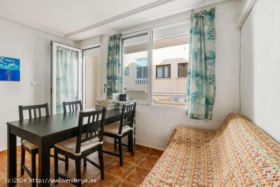 APARTAMENTO EN LA MATA DE 3 DORMITORIOS 1 BAÑO  ( TORREVIEJA ) - ALICANTE