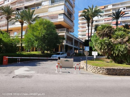 Apartamento en alquiler en Torremolinos (Málaga)