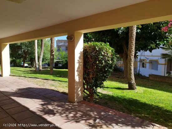 Apartamento en alquiler en Torremolinos (Málaga)