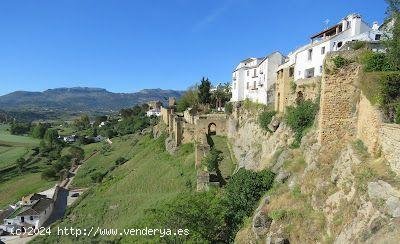 Finca en venta en Ronda (Málaga)