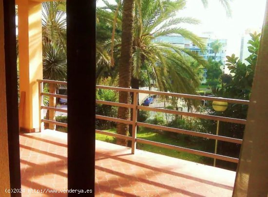  Apartamento en alquiler en Torremolinos (Málaga) 