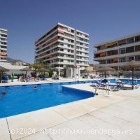 Estudio en alquiler en Torremolinos (Málaga)