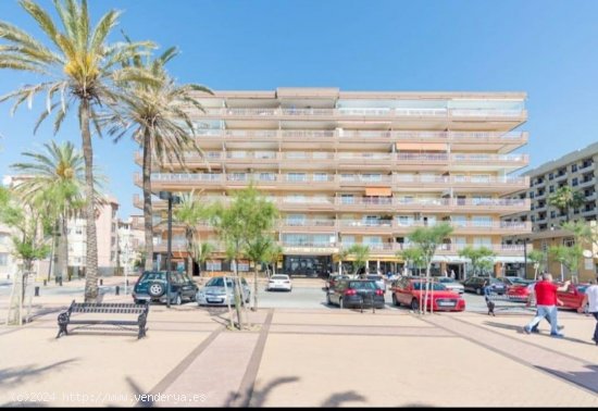 Apartamento en alquiler en Fuengirola (Málaga)