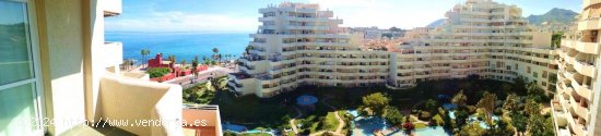 Apartamento en alquiler en Benalmádena (Málaga)