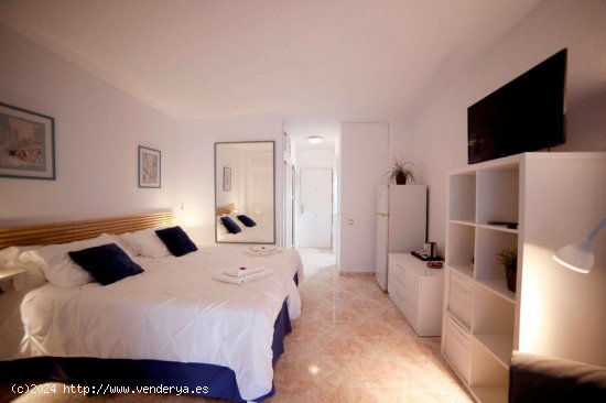 Estudio en alquiler en Benalmádena (Málaga)