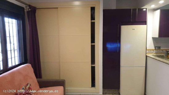 Apartamento en alquiler en Torremolinos (Málaga)