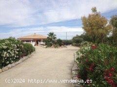 Chalet en venta en Pliego (Murcia)