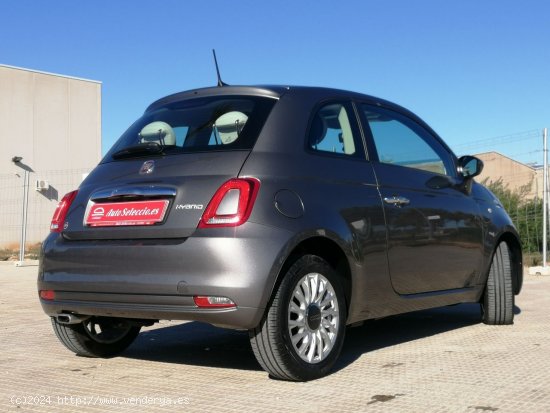 Fiat 500 Connect 1.0 Hybrid 51KW (70 CV) lounge 2021 - Carcaixent