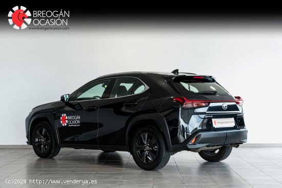 Lexus UX 250H 2WD BUSINESS CITY Lexus UX en Galicia: A Coruña, Lugo, Pontevedra y Orense. - A Coru