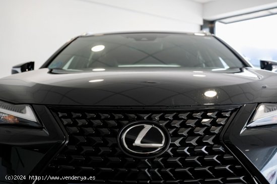 Lexus UX 250H 2WD BUSINESS CITY Lexus UX en Galicia: A Coruña, Lugo, Pontevedra y Orense. - A Coru