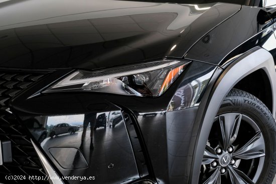 Lexus UX 250H 2WD BUSINESS CITY Lexus UX en Galicia: A Coruña, Lugo, Pontevedra y Orense. - A Coru