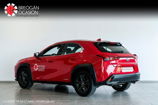 Lexus UX 250H 2WD BUSINESS Lexus UX en Galicia: A Coruña, Lugo y Pontevedra. - A Coruña