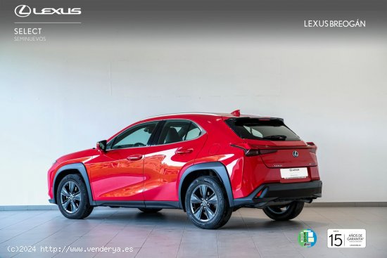 Lexus UX 250H 2WD BUSINESS Lexus UX en Galicia: A Coruña, Lugo y Pontevedra. - A Coruña