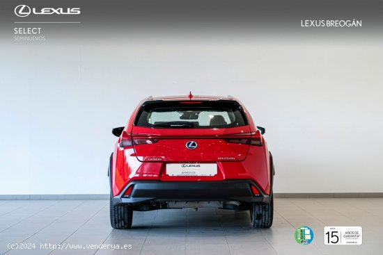 Lexus UX 250H 2WD BUSINESS Lexus UX en Galicia: A Coruña, Lugo y Pontevedra. - A Coruña