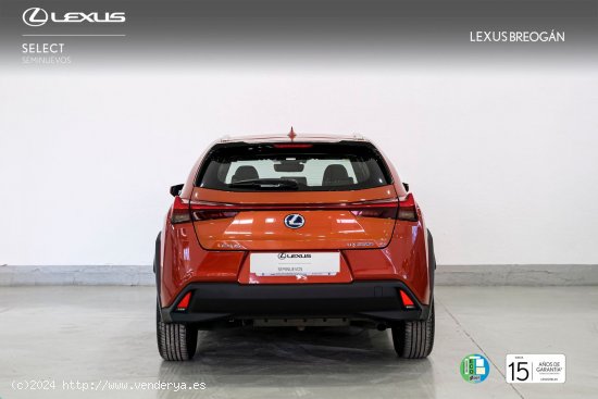 Lexus UX 250H 2WD BUSINESS Lexus UX en Galicia: A Coruña, Lugo y Pontevedra. - A Coruña