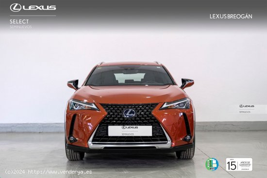 Lexus UX 250H 2WD BUSINESS Lexus UX en Galicia: A Coruña, Lugo y Pontevedra. - A Coruña