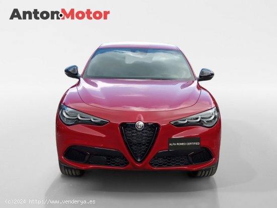 Alfa Romeo Stelvio 2.2 Diésel 154kW (210CV) Veloce Q4 - Álava